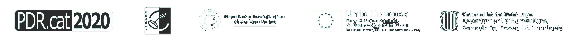 Implementació d'estratègies de desenvolupament local
